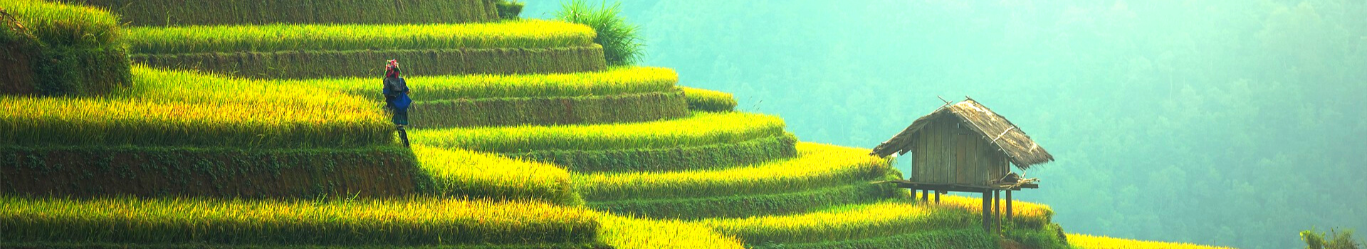 Website Main Banner 1920 x 350