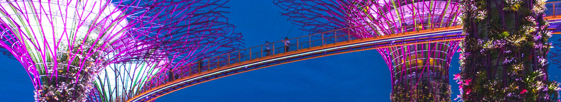 Website Main Banner 1920 x 350