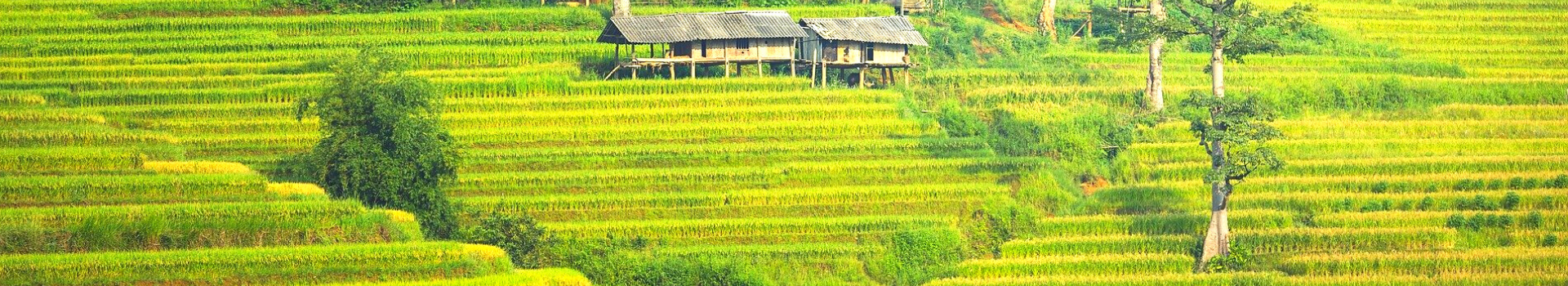 Website Main Banner 1920 x 350