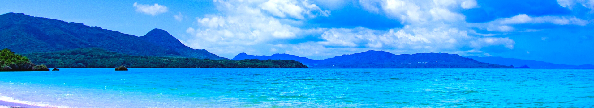 Website Main Banner 1920 x 350