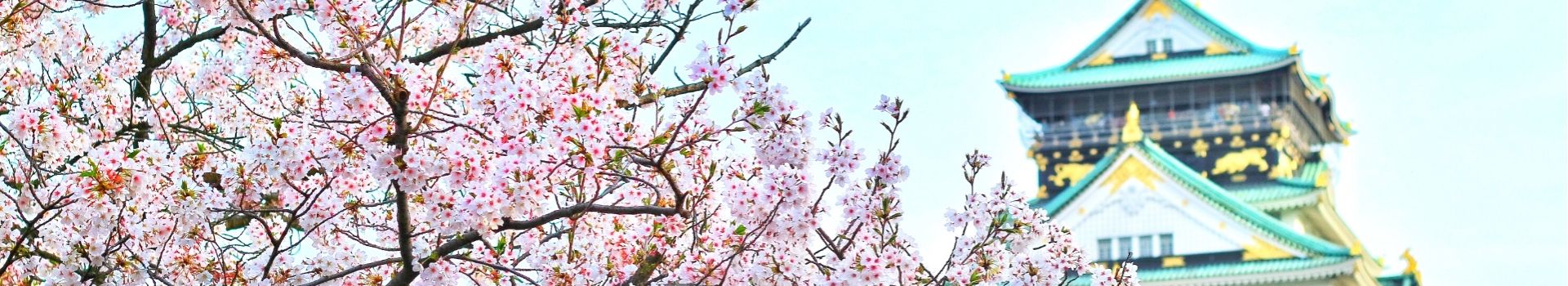 Website Main Banner 1920 x 350