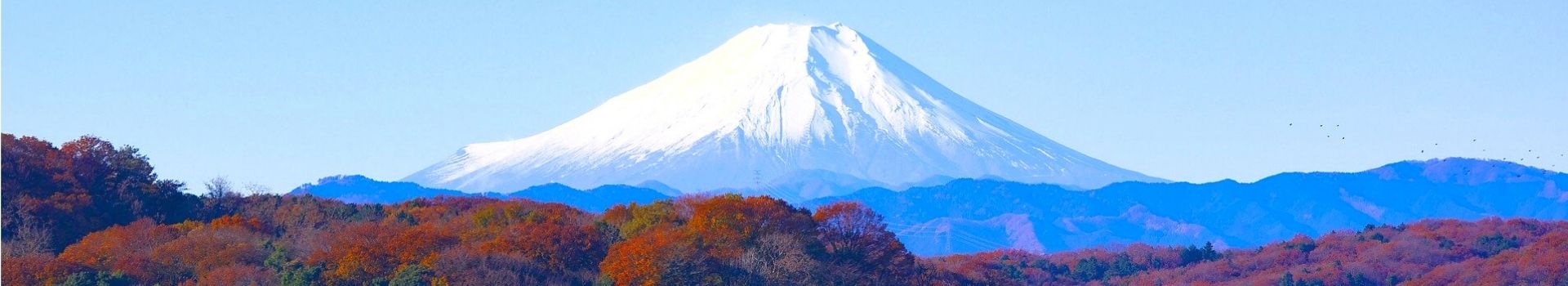 Website Main Banner 1920 x 350