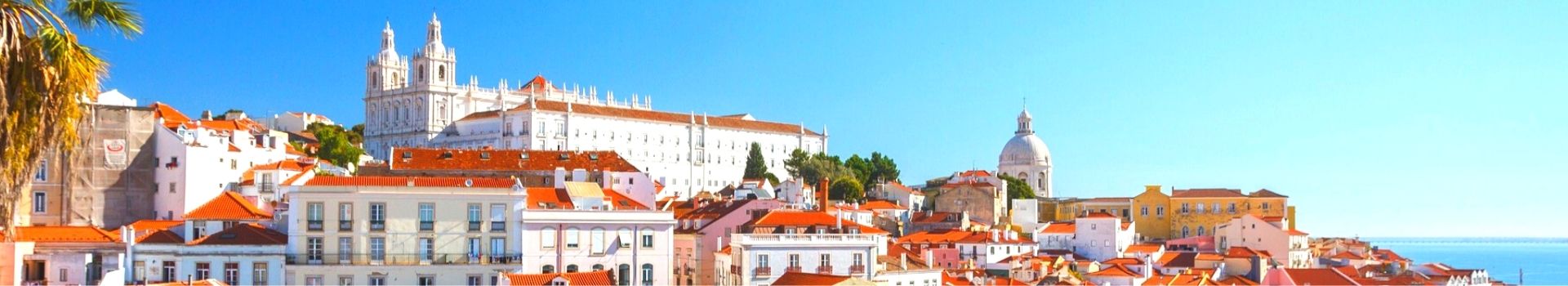 Website Main Banner 1920 x 350 (1)