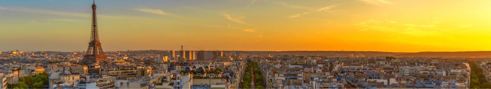 Website Main Banner 1920 x 350 (1)