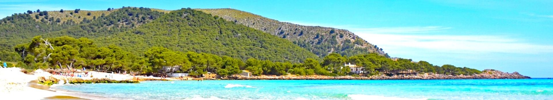 Website Main Banner 1920 x 350