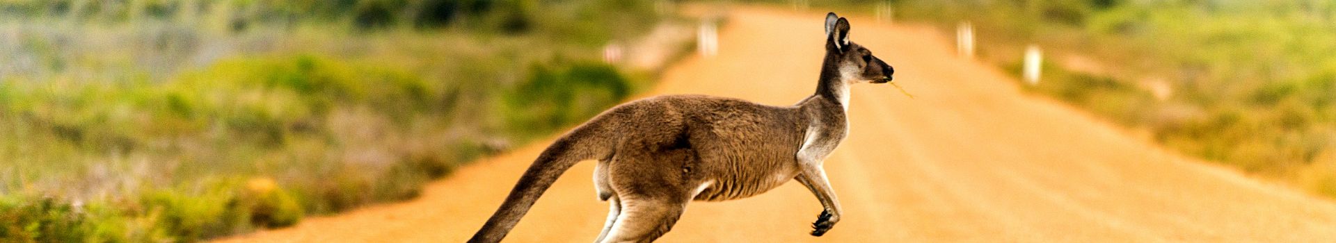 Australia Destination Page Banner Page Banner